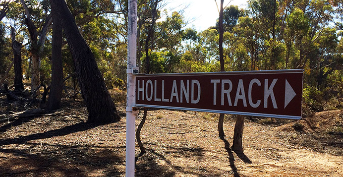 Holland Track & Holland Park