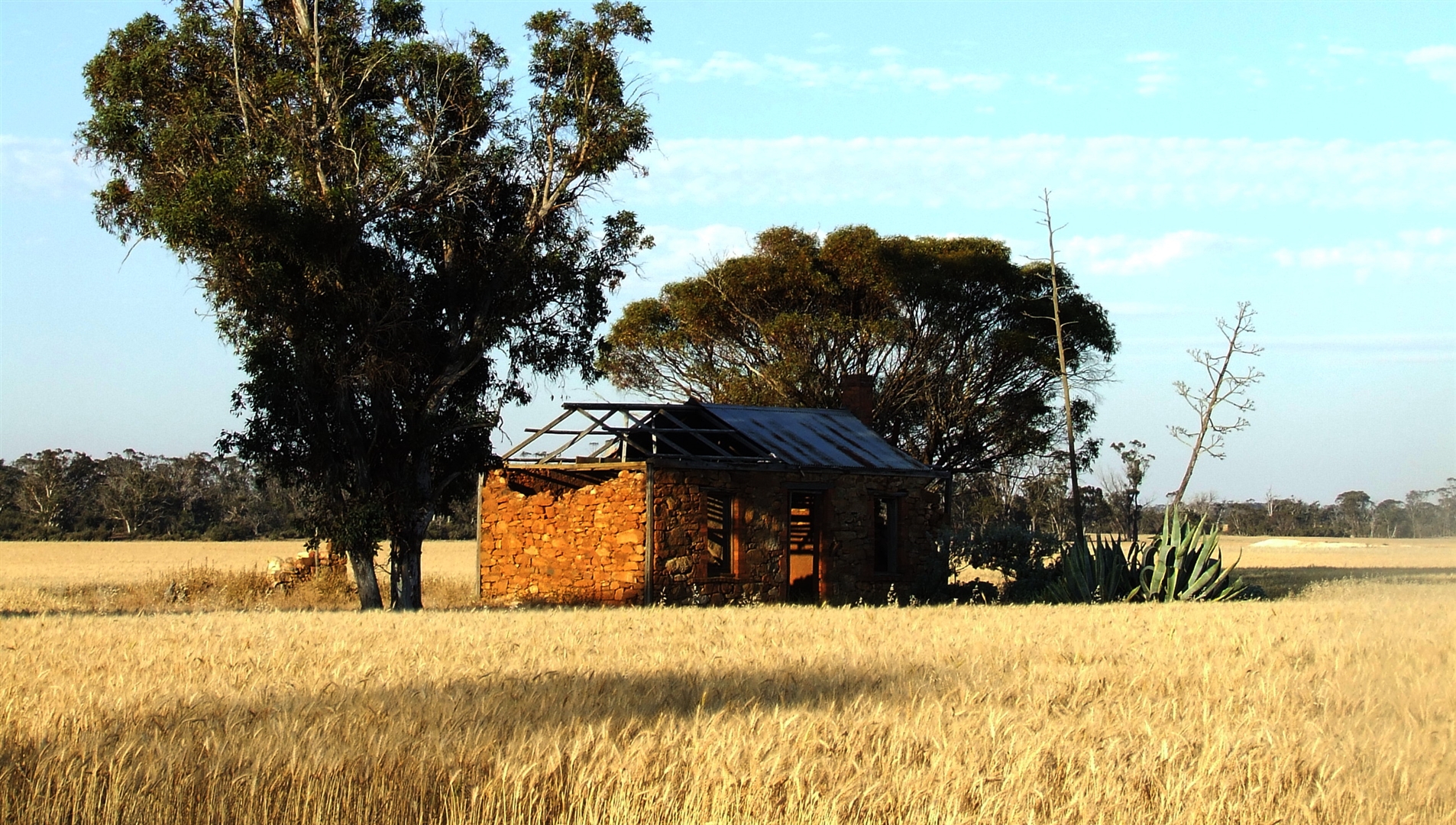 Image Gallery Albums » Shire of BroomehillTambellup