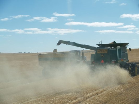 Photos from the Shire - Tambellup Farm