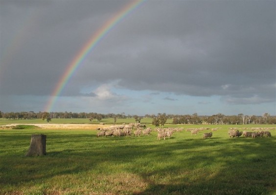 Photos from the Shire - Broomehill Farm