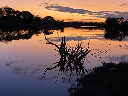 Photos from the Shire - Gordon River Tambellup at sunset
